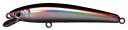 スミス(SMITH LTD) ミノー パニッシュ SP 55mm 2.7g レーザー ワカサギ #25
