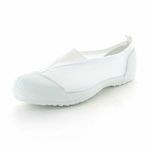 (ムーンスター) 上履き カラーメッシュ02 キッズ ホワイト 22.5 cm 2E