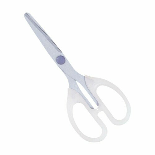 ǥӥ եǥȤϤ ڤ̣Ĺ 䥵Ӥ˶ Ϥ55mm 043818