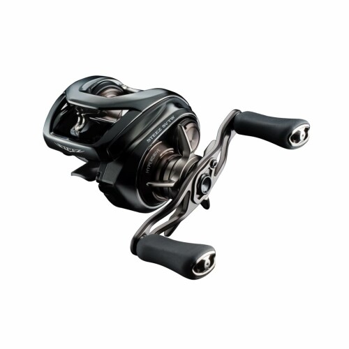 ダイワ(DAIWA) バスベイトリール 24STEEZ(スティーズ) SV TW 100L (2024年モデル)