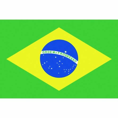 東京製旗 国旗No．2（90×135cm） ブラジル 426646
