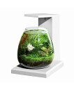 ジェックス GEX AQUARIUM グラスアクア PERCO T-WH オールインワン水槽 インテリア 水槽セット 水換え簡単 コンパクト水槽 約6L ホワイ...