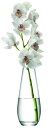 LSA(エルエスエー) フラワーベース(花器) クリア 高さ29cm FLOWER G649-29-301