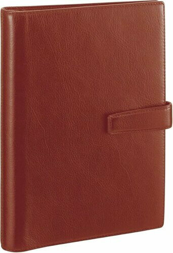 レイメイ藤井 システム手帳 ダヴィンチ スタンダード A5 ブラウン DSA3002C