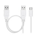 CY Cable USB 3.1 Type C USB-C - デュアルAオス 予備電源データYケーブル 電話ハードディスク用