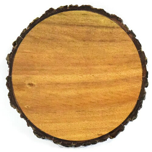 木製 食器 鍋敷 皿 プレート 直径約16cm konoka JA22-12-2s