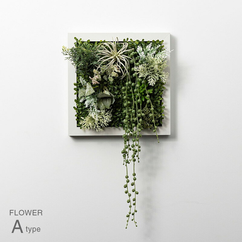 SONOۥ磻ȥΤ֤Υե졼