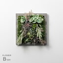 SONO コンクリート調 アルミ製のお花のフレーム 壁掛け フェイクグリーン 多肉植物 造花 観葉植物 植物 インテリア アート プレゼント 贈り物 ギフト 誕...