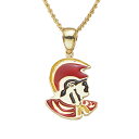 ハワイアンジュエリー 14K ゴールド ペンダント トップ キングカメハメハトップ