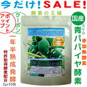 酵素の王様 国産 有機無農薬 青パパイヤ酵素 プレミアム 非加熱酵素 1年半熟成発酵 特許取得酵素 糖質 脂質 カロリー カット 酪酸菌 乳..