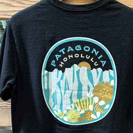 2024年新作☆[PATAGONIA/パタゴニア]ハワイ　メンズ　半袖 Tシャツ Valley View　ホノルル限定　Mサイズのサムネイル