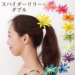 https://thumbnail.image.rakuten.co.jp/@0_mall/aloha-hawaii-mau/cabinet/04020114/hawaiian-haieclip/hulatigerlily/tai-slilly-d-nm1.jpg