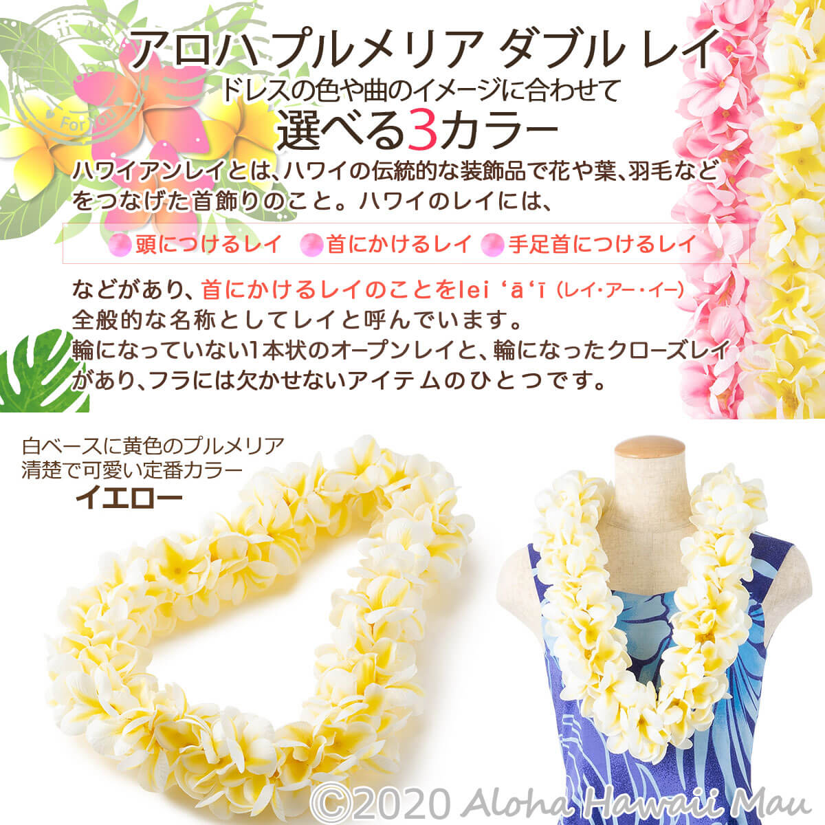 ★楽天1位 フラダンス レイ アロハ プルメリア ダブル レイ 選べる3カラー ハワイアンレイ プルメリアレイ フラダンスレイ ホイケ フラ レイ 発表会 インテリア 造花 花の首飾り 花のレイ ピンク 白 ピーチ フラダンス衣装