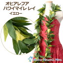 フラダンス レイ マイレレイ オヒアレフアマイレレイ イエロー レフアレイ フラダンス衣装 ハワイアンレイ フラレイ 赤のレイ マイレ グリーンレイ 葉のレイ ...