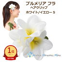 ★楽天1位 フラダンス 髪飾り プルメリア ヘアクリップ Sサイズ ホワイト フラ 花の髪飾り フラダンス衣装 ハワイ フラワークリップ リゾートウエディング ...
