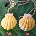 サンライズシェル Dewey Design 1点モノサンライズシェル ネックレス エクストラ・ラージ