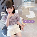 子供服 セットアップ キッズ 女の子 韓国子供服 上下セット 2点セット トップス 半袖 Tシャツ ショートパンツ デニム 可愛い 春夏 通学着 通園着