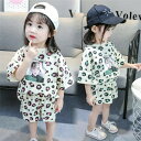 子供服 セットアップ 韓国子供服 キッズ 女の子 上下セット 2点セット トップス 半袖 Tシャツ ストライプ ジャージ 可愛い 春夏 通学着 通園着 パンツ