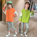 子供服 セットアップ キッズ 女の子 長袖 春秋 上下セット トップス Tシャツ パーカー ロングパンツ 子供ジャージ スポーツウェア 運動着 おしゃれ 可愛い カジュアル