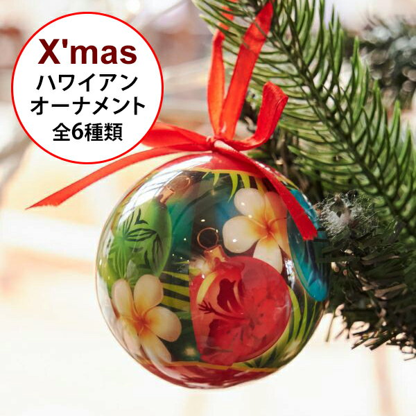 ϥ磻 ꥹޥ ʥ 6 ĥ꡼ʥ ܡ Xmas   ϥ磻󻨲 ƥꥢ 襤  ...