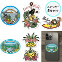 ステッカー シール 5枚セット ハワイ スマホ 携帯 スマートフォン デコ デコレーション 海 ビーチ 波 サーフィン フラ フラダンス 犬 パイナップル 花 ...