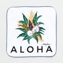 nCA nJ` nh^I nJ`^I fB[X Y nCAG pi  l  A[g ALOHA i`eBnJ`jit[cj HAWAII FOOD BANK nCt[hoN t AVCEJ[ZiAshley Kaasej v[g Mtg