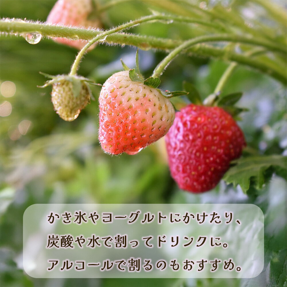 �����������åס����ȥ��٥꡼�����åס�5�ܴ��ᡡ������Υ����åס�����ɹ�����å�180g����¸�����忧���������ɻߺ��Ի��ѡ������Τޤޤ���̣������̣�廊�롪����ɹ�ˡ��衼����Ȥˡ�ú�����ǳ�äƥɥ�󥯤ˡ�