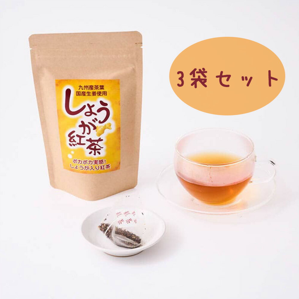 国産生姜紅茶ティーバッグ3袋セット　1袋10ティーバッグ入り×3袋　九州産茶葉と国産生姜使用！