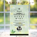 はちみつミントティー　ハーブティー　ティーバッグ30袋セット　JB Honey’s はちみつミント30袋 セイロンファミリー