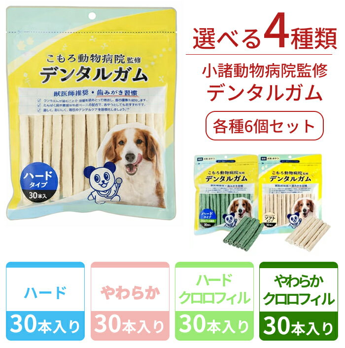 小諸動物病院 デンタルガム ハード やわらか クロロ 各30本入り 6個セット 180本 動物病院監修 犬 歯磨き はみがき 牛皮 ガム お徳用 デンタルスティック 犬 いぬ ドッグ 綿半プライベートブランド [まとめ買い] [取寄 10] 送料無料
