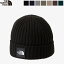 SALE 20%OFFTHE NORTH FACE Ρե ˥å ץåå ӡˡ ˥å˹ ˥åȥå ˹ Cappucho Lid NN42035 Ź