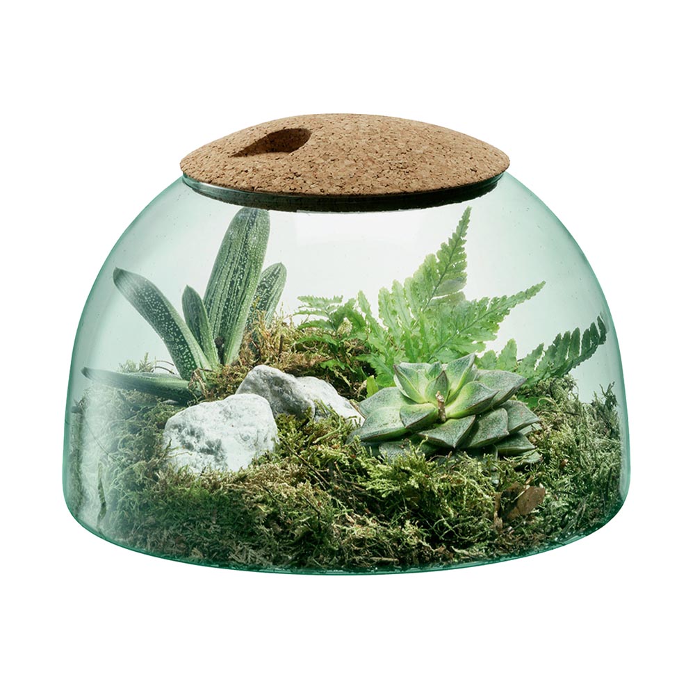 Rakuten - LSA CANOPY キャノピー Closed Garden プランター G1580-16-161 LCQ13 / エルエスエー 花器 花瓶 フラワーベース