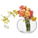 LSA Flower Curved Bouquet Vase G1722-20-301 クリア H20cm LFW38 / エルエスエー フラワーベース 花器 花瓶