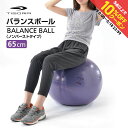 最大10%OFFクーポン 【5/9〜5/18】 ティゴラ ノンバーストタイプバランスボール 65cm パープル 65PU バランストレーニング TIGORA(4)
