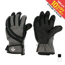 最大10%OFFクーポン 【5/9〜5/18】 デサント レディース スキー グローブ WOMENS GLOVE DWCWJD60 DESCENTE