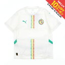 最大10%OFFクーポン 【5/9〜5/18】 プーマ メンズ サッカー/フットサル ライセンスシャツ 2025 セネガル代表 FSF HOME ジャージ レプ...