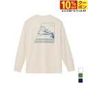 2025春夏 ザ・ノース・フェイス メンズ アウトドア 長袖Tシャツ ロングスリーブTNFバグフリーティー NT12450 THE NORTH FACE