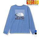 最大10%OFFクーポン 【6/4〜6/11】 ザ・ノース・フェイス レディース アウトドア 長袖Tシャツ ロングスリーブスリーブグラフィックティー NTW32...