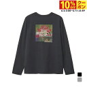 最大10%OFFクーポン 【6/4〜6/11】 2025春夏 ザ・ノース・フェイス レディース アウトドア 長袖Tシャツ ロングスリーブイーエスフラワーボックス...