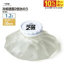 最大10%OFFクーポン 【6/4〜6/11】 ティゴラ 冷却速度2倍 氷のう 1.2L 大口径6cm アイスバッグ お手入れ簡単 TRアイスバッグTPUWH ...
