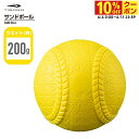 最大10%OFFクーポン 【6/4〜6/11】 ティゴラ サンドボール 200g 野球練習 ウェイトトレーニング 重いボール TR-SANDBALL200 野球...