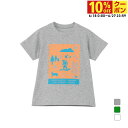 最大10%OFFクーポン 【6/18〜6/27】 2025春夏 ザ・ノース・フェイス ジュニア 子供 アウトドア 半袖Tシャツ トドラーショートスリーブシレトコ...