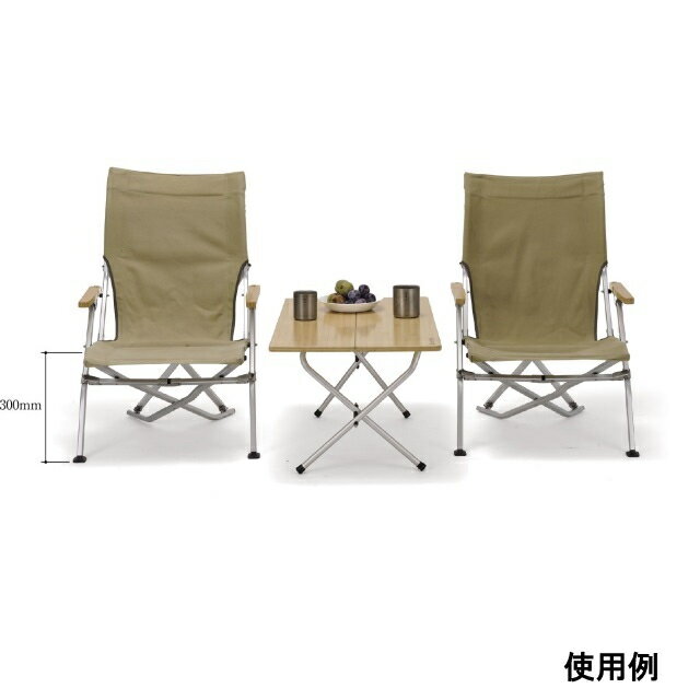 スノーピーク ローチェア 30:カーキ LV-091KH キャンプ snow peak通販格安セール情報 楽天 通販