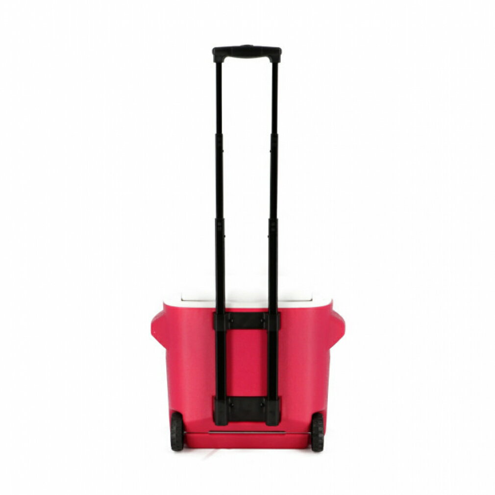 最大10%OFFクーポン【楽天 お買い物マラソン限定 】 コールマン ホイールクーラー/28QT (ピンク) (2000010028) キャンプ ハードクーラー 26L Coleman通販格安セール情報 楽天 通販