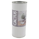 ダルトン CACTUS FRAGRANCE DIFFUSER C W.FLOWER (G675-824) 雑貨 ディフューザー DULTON