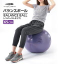 ティゴラ ノンバーストタイプバランスボール 65cm パープル 65PU バランストレーニング TIGORA(4)