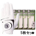 エントリーで更にD会員 P10倍 5枚セット フットジョイ 秋 冬 メンズ ゴルフグローブ 18 ウェザーソフ FootJoy