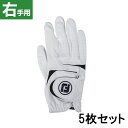 5枚セット フットジョイ 秋 冬 メンズ ゴルフグローブ 18 ウェザーソフ 右手 ホワイト FOOT JOY FJ