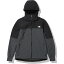 Ρե  ˥ ɥ֥졼 APEX Flex Hoodie ڥåեåաǥ NP72181 ZC : 졼 THE NORTH FACE 211020NF