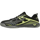 ミズノ ウエーブカイザーブルク 7 81GA222001 メンズ レディス 卓球 シューズ 3E : ブラック×イエロー MIZUNO 1222TK28onli...